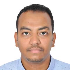 Ahmed Abdulhamid Ahmed Mahmoud