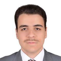 Eyad Safi Ibrahim Alayah