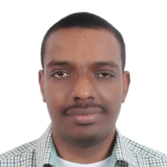Mohamed Abdeen Mohamed Hassan